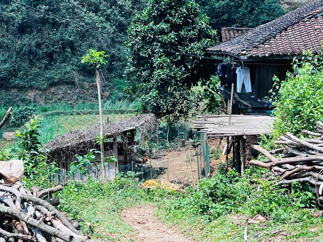 Ha Giang Epic Loop by Bicycle Tour 6 Days